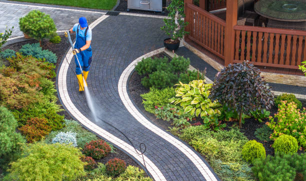 Reliable Dagsboro, DE Pressure Washing Solutions