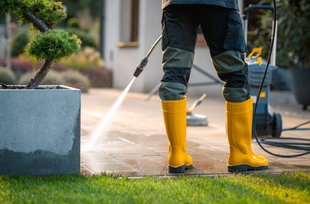 Best Pressure Washing Near Me  in Dagsboro, DE
